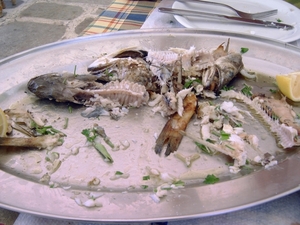Pilion juni 2007 081