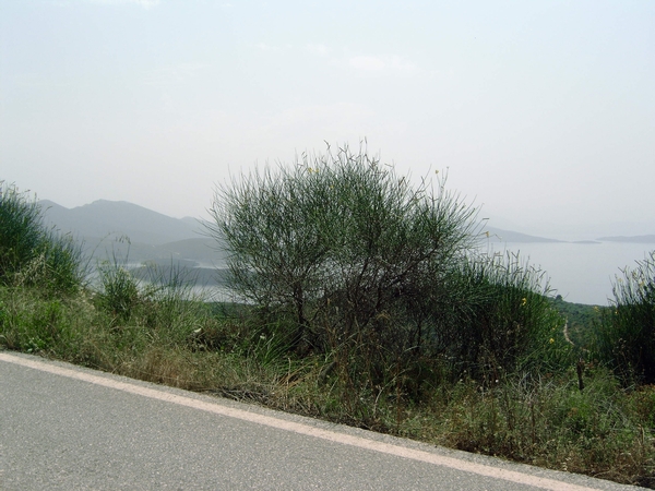Pilion juni 2007 086