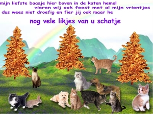 Daisyke een aandenken aan jou