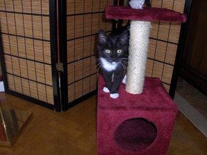 wat moet ik daar nu mee?