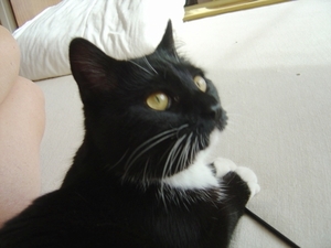 zal maar weer eens poseren