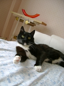 ben nu reeds 13 maanden en ik ben al flink he