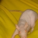 DSC06346