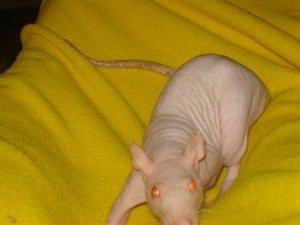 DSC06346