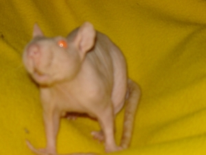 DSC06348