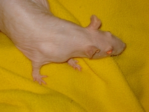 DSC06349