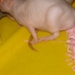 DSC06377