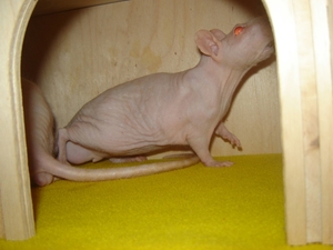 DSC06383