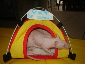 DSC06408
