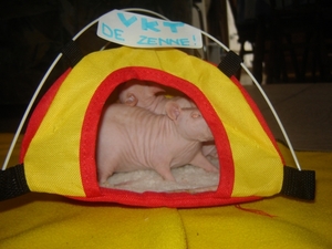 DSC06410