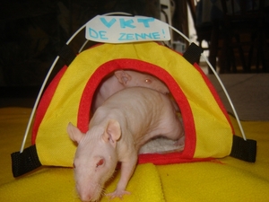 DSC06412