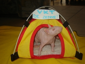 DSC06422