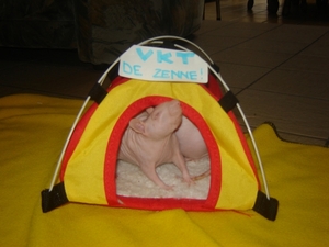 DSC06426