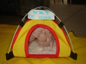 DSC06427