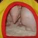 DSC06434