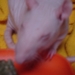 DSC06598