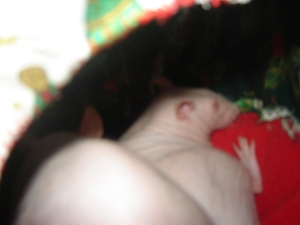 DSC06609