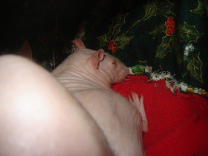 DSC06612
