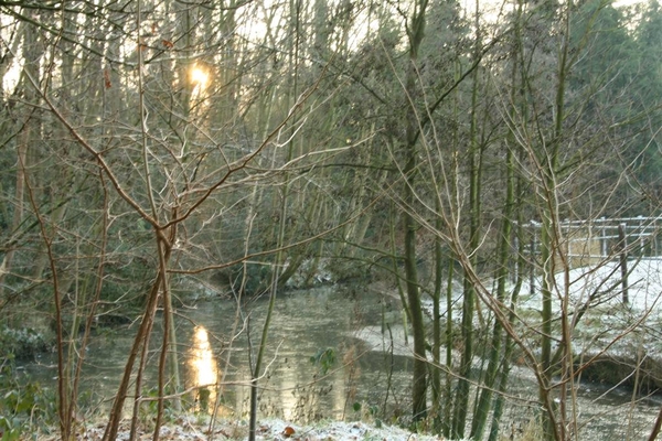 Zoals het vroeger winterde.