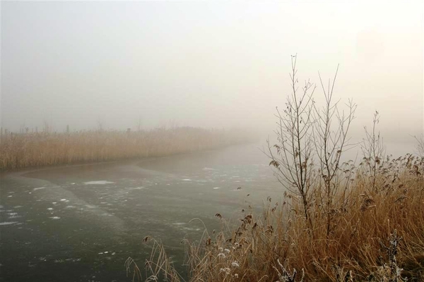 Dichtgevroren vijver in Middelburg.