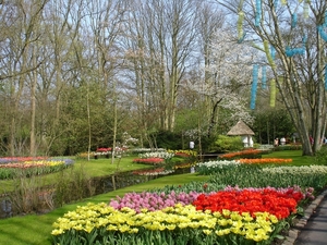 Keukenhof 14 Marion