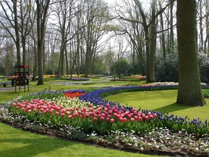 Keukenhof 18 Marion