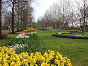 Keukenhof 19 Marion