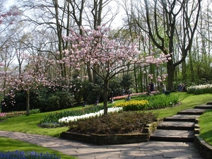 Keukenhof 26 Marion