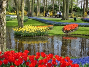 Keukenhof 39 Marion