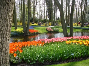 Keukenhof 44 Marion