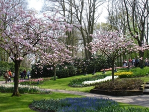 Keukenhof 46 Marion