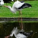 even drinken
