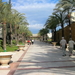 107 Benidorm