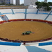 109 Benidorm