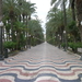 176 Alicante