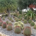 208 Cactustuin