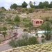 214 Cactustuin