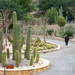 215 Cactustuin