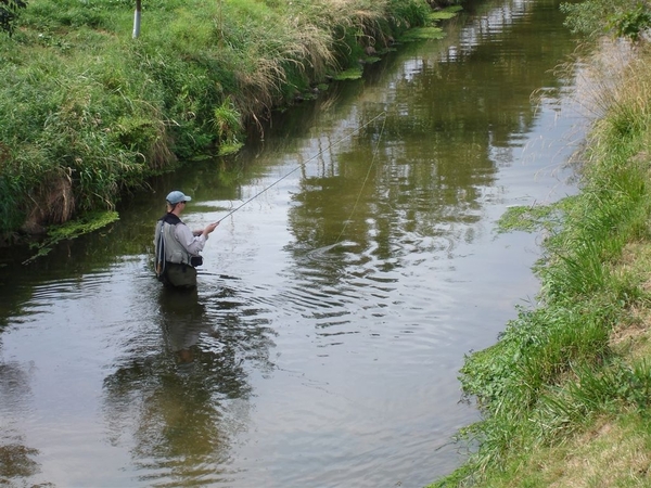776 die Wipper (Harz)