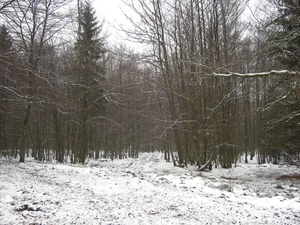PICT0017