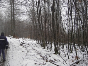 PICT0023