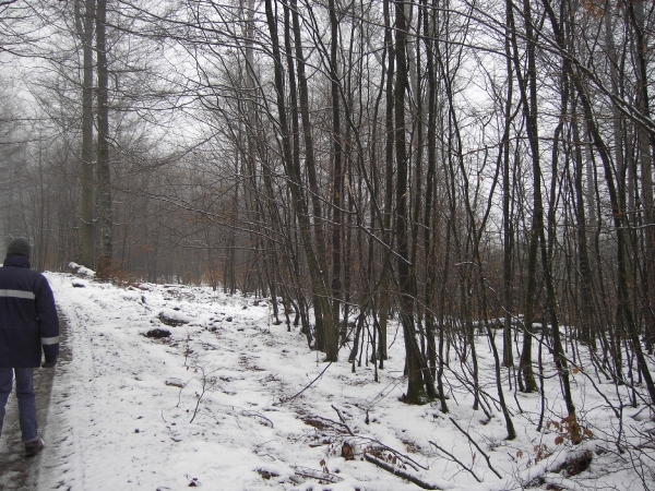 PICT0023