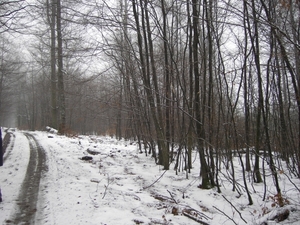 PICT0024
