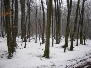 PICT0025