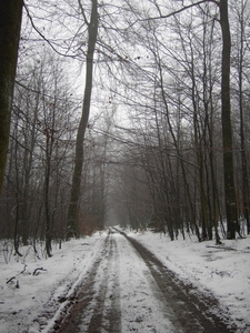 PICT0026