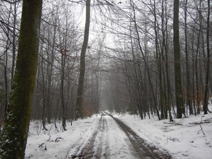 PICT0027