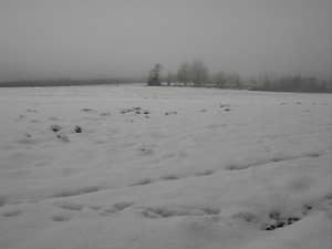 PICT0034