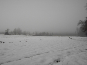 PICT0035