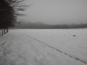 PICT0036