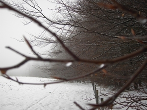 PICT0039